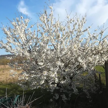 Holiday home Al Morar *